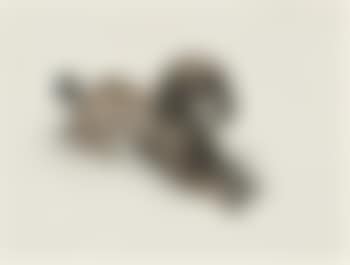 Pudel (preview)