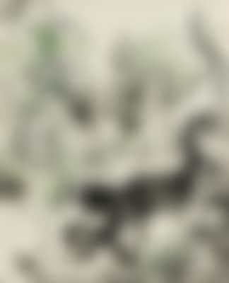 Katzen (preview)