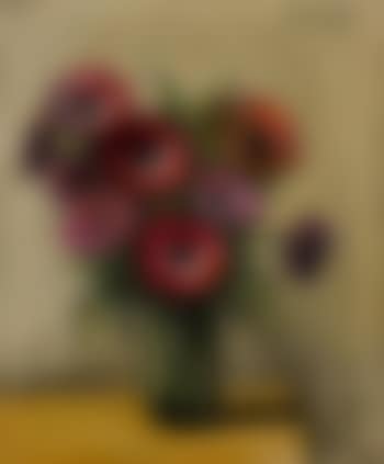 Anémones (preview)