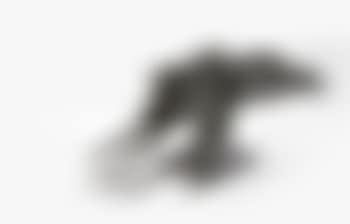 La cigale (preview)