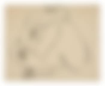 Nu accroupi (preview)