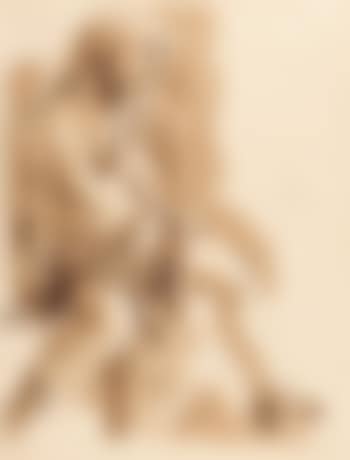 Sitzender Halbakt (preview)