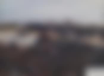 Heidelandschaft mit stutzenden Schnucken (preview)