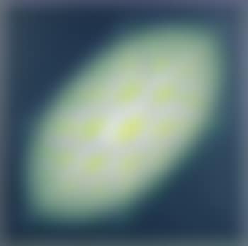 Euclide (P. 1092) (preview)