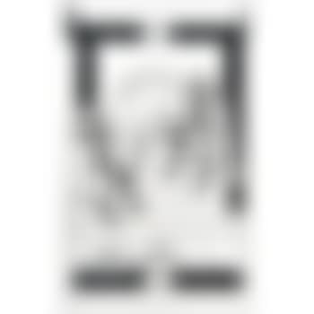 New fire, Bourbonic codex (preview)