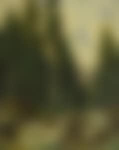 Torrent qui charrie des arbres, et sapins (preview)