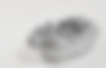 Untitled (Silver Basket) (preview)