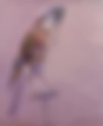 Hawk (preview)