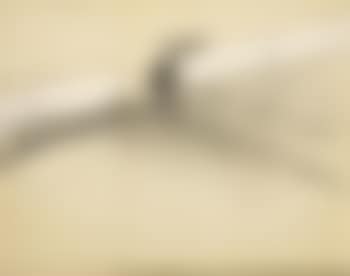 Running fence (preview)