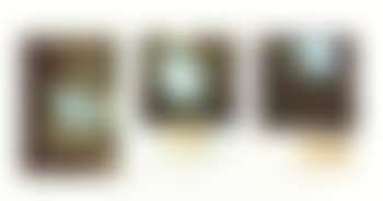 Morgenblatt (preview)