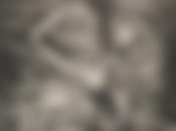 Sorcier (preview)
