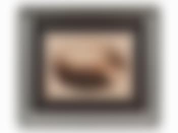 Venus (preview)