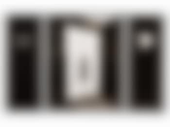 Triptych From: The Freud Cycle (preview)