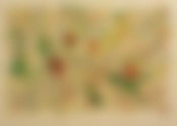 [Untitled] (preview)