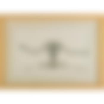 Untitled (preview)