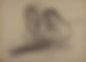 Nudi femminili (preview)
