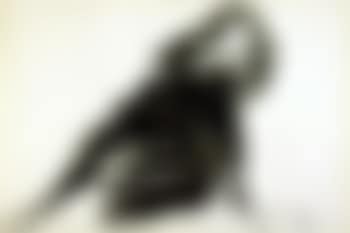 Figura femminile (preview)