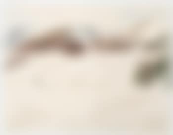 In Graubünden (preview)