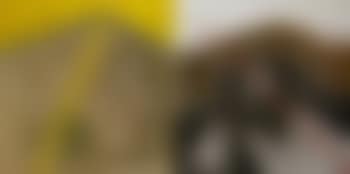 Composition (preview)