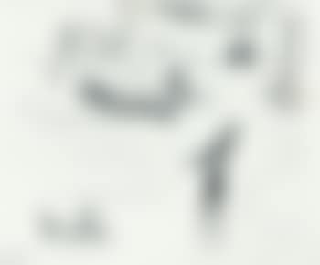 Seagulls (preview)