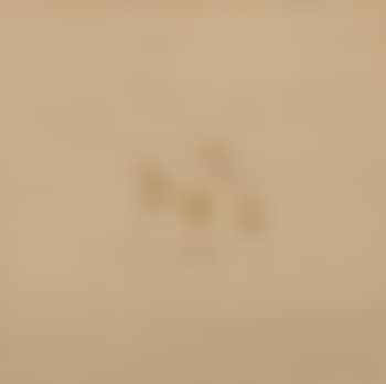 Untitled (drops of water) (preview)