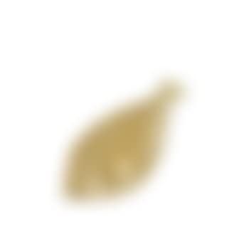 Flounder ,
Circa
1930
Flounder ,
Circa
1930 (preview)