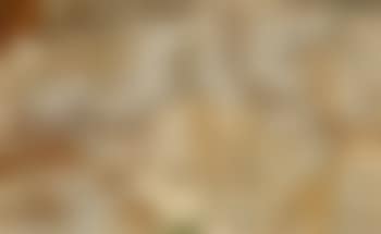 Muro romano 5 (preview)