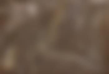 Inpainting (brown) (325/88) (preview)