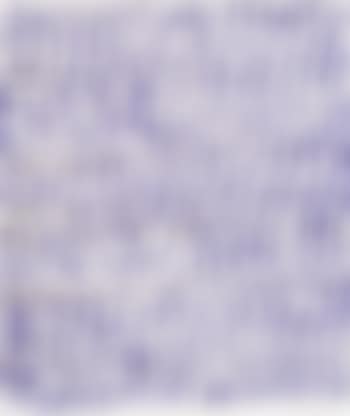 Polychromatic series (preview)