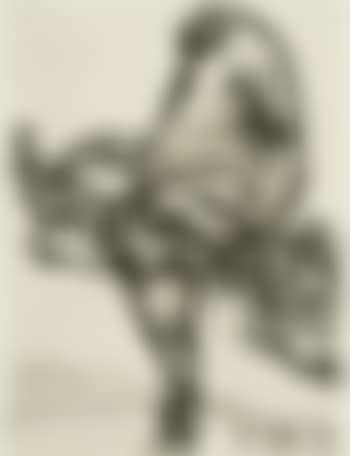 Nose 15 (preview)