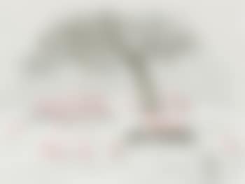 He That Fled His Fate… (preview)