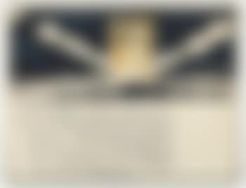 Project for the Arc de Triomphe, Paris (preview)