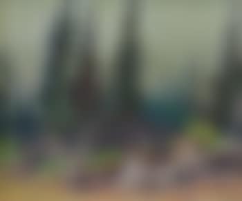 Beach - Lake of Two Rivers, Algonquin Park, Ont (preview)