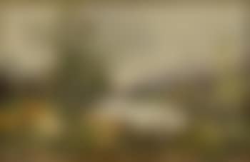 [Untitled] (preview)