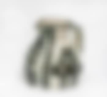 Little-headed pitcher (preview)