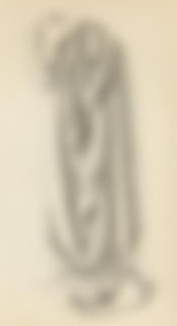 Studie eines Faltenwurfes (preview)