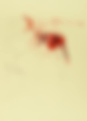 O. T (Blutender Hirsch auf Schädel) (preview)