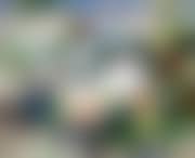 Campagne mitre (preview)