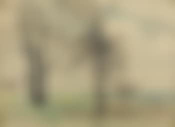 Landscape (preview)