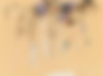 Ohne Titel (preview)