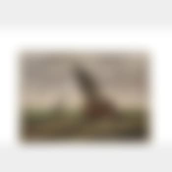 Loading the trawler (preview)
