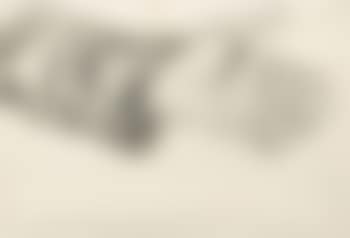 Study of a Lower Arm (preview)