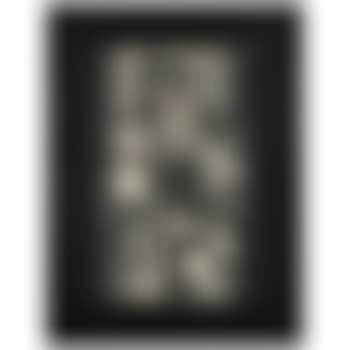 Ilava (preview)