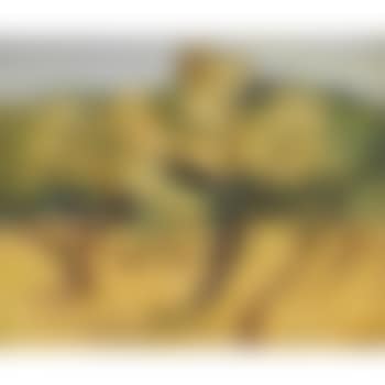 Sous-bois (preview)