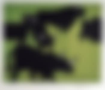 Herd of Welsh Black cattle on green background (preview)