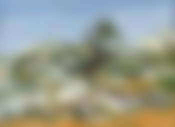 Paysage des Baux de Provence (preview)