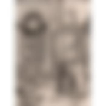 Presentation of the Virgin in the Temple from The Life of the Virgin (preview)