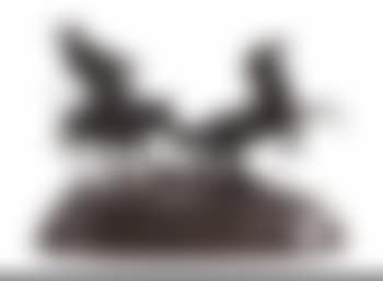 Capture of a Wild Kirghiz Horse (preview)