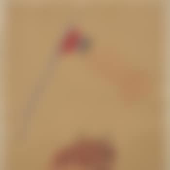 Le drapeau (preview)