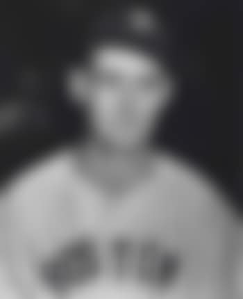 Ted Williams Photograph (preview)